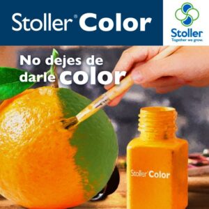 Stoller Color