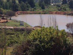 AgrosurChile – Campo en Litueche