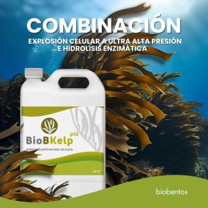 BioB Kelp Più