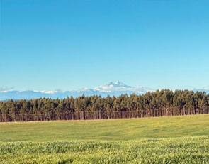 AgrosurChile – La Ballica