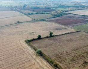 AgrosurChile – Campo San Antonio