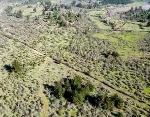 AgrosurChile – La Gloria