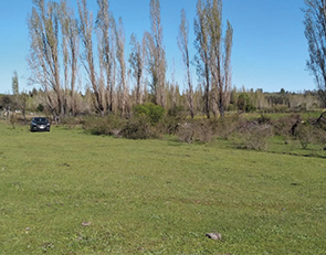 AgrosurChile – Parcela Sta Narcisa