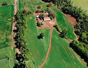 AgrosurChile – Campo Zapallar